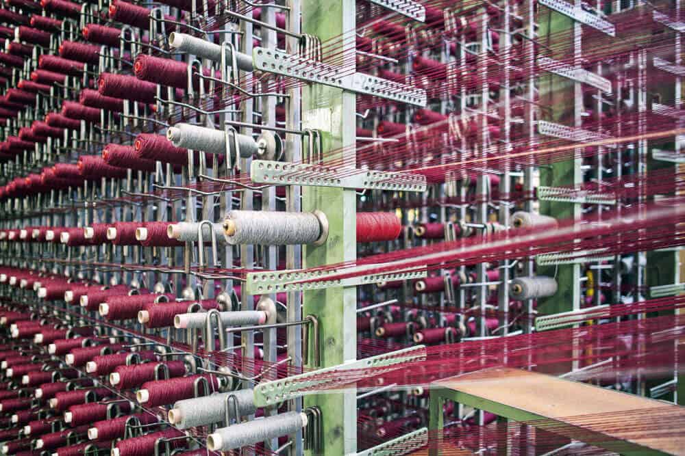 BICO und Tisca gemeinsam