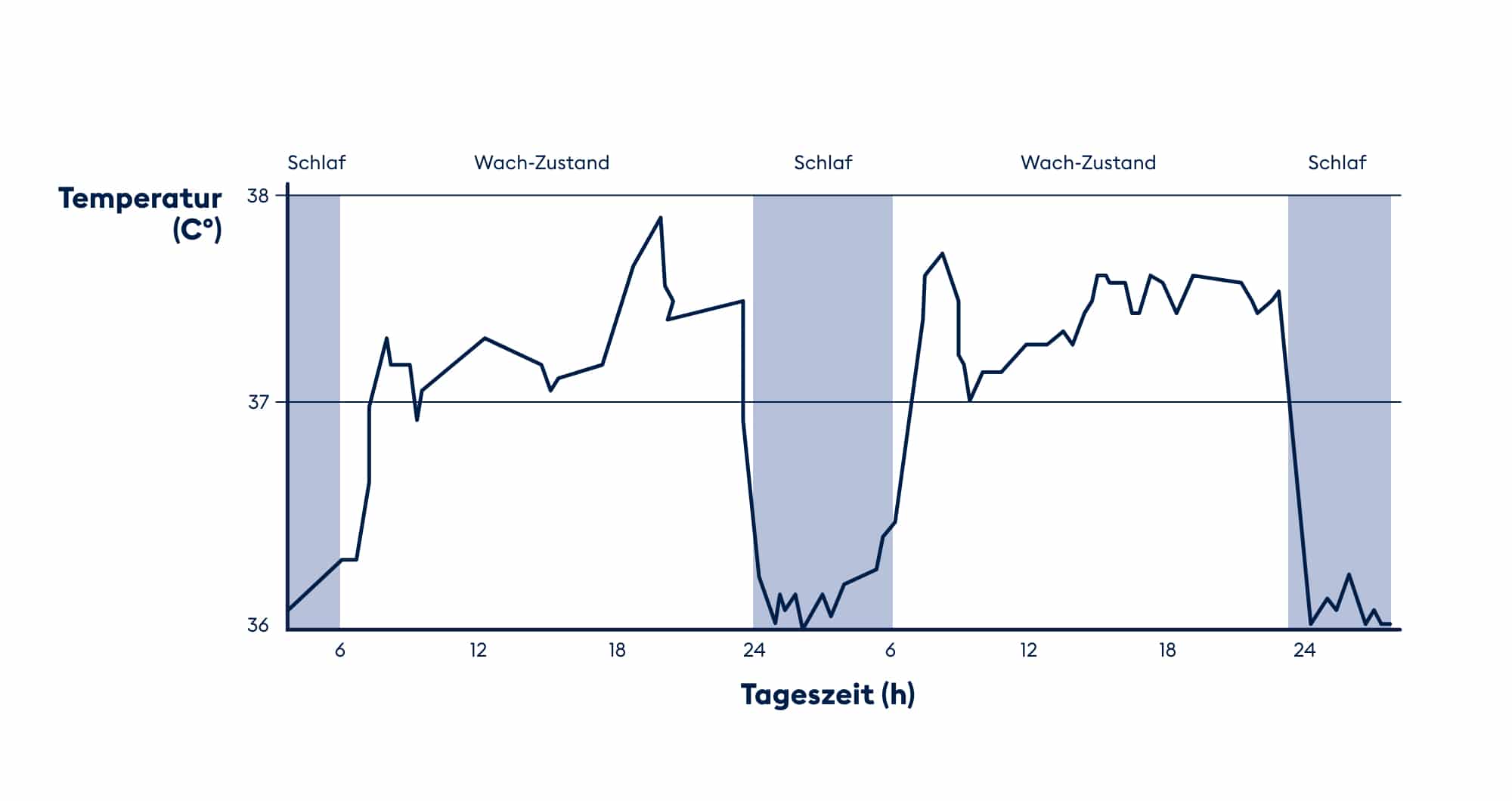 BICO erklärt den circadianen Rhythmus