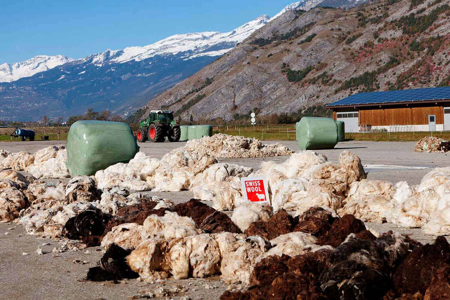 Swisswool - Das Label garantiert dabei den regionalen Ursprung der Wolle.