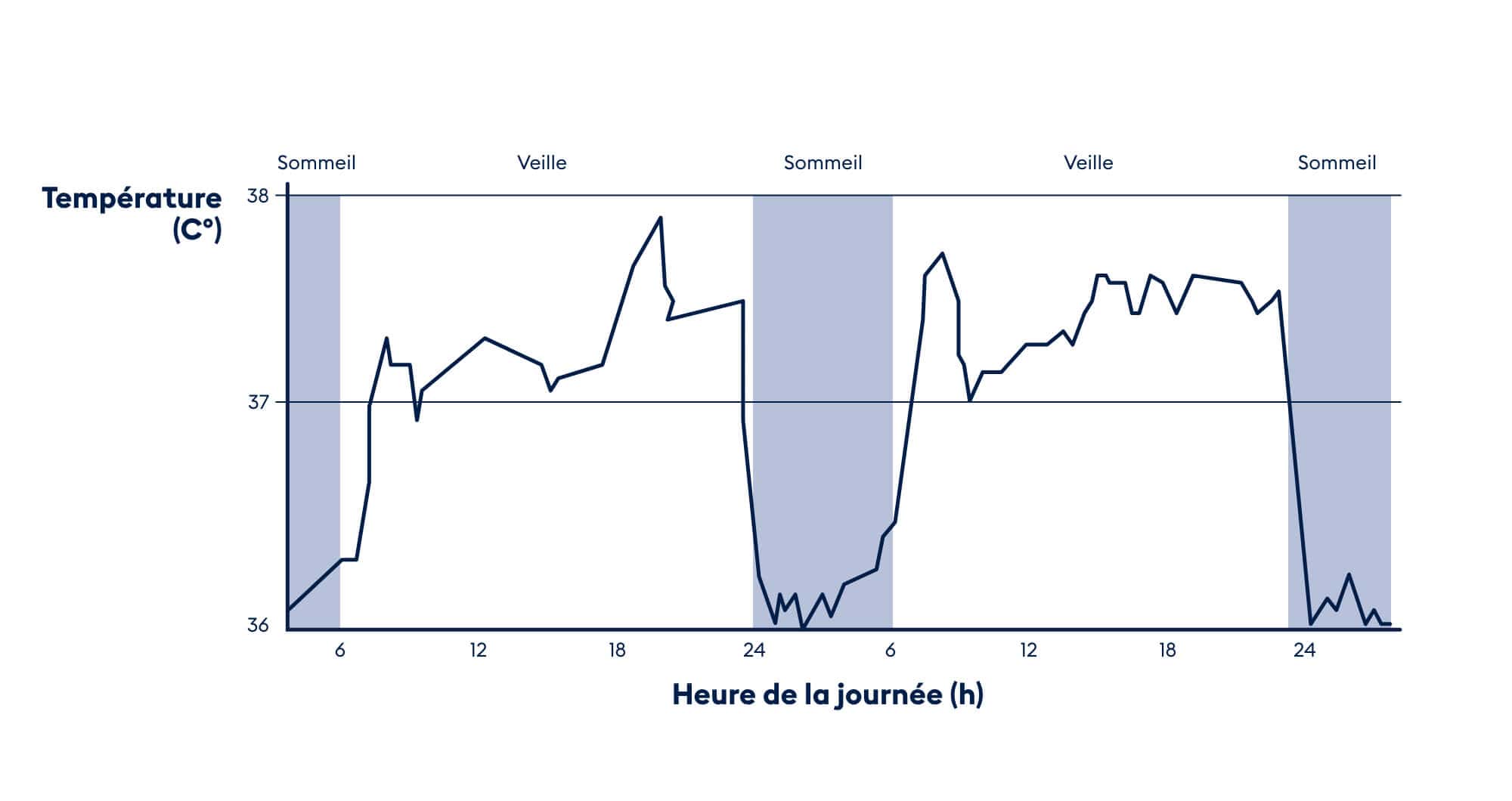 BICO Le rythme circadien a une grande influence sur notre organisme et affecte également notre température corporelle