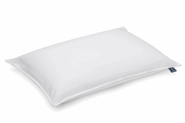 BodySoft Edition Trauffer